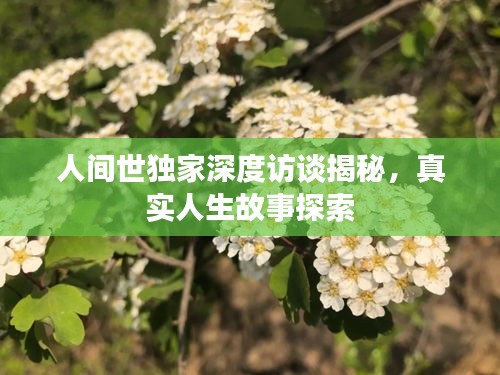 人間世獨家深度訪談揭秘，真實人生故事探索