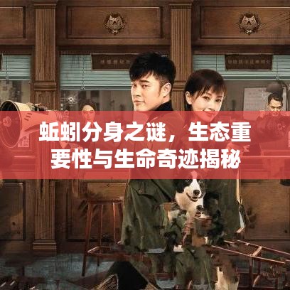 蚯蚓分身之謎，生態(tài)重要性與生命奇跡揭秘