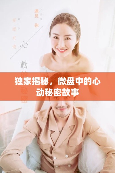 獨家揭秘，微盤中的心動秘密故事