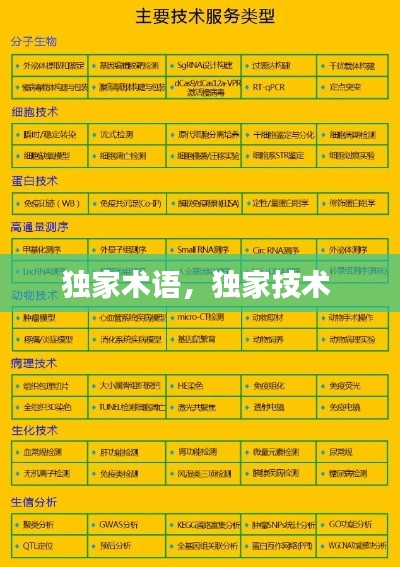 獨家術(shù)語，獨家技術(shù) 