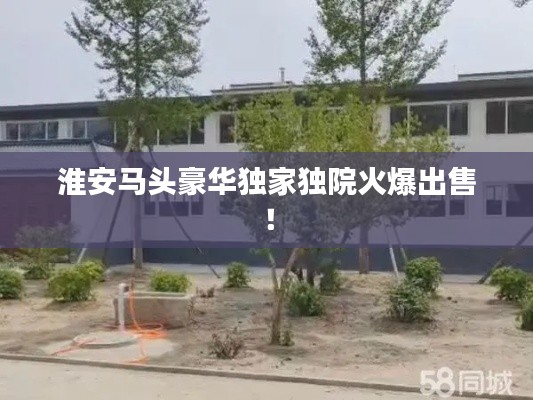 淮安馬頭豪華獨(dú)家獨(dú)院火爆出售！