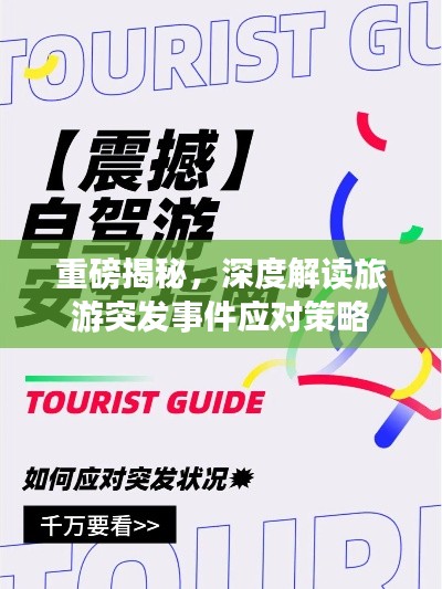 重磅揭秘，深度解讀旅游突發(fā)事件應對策略