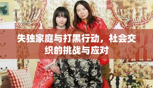 失獨家庭與打黑行動，社會交織的挑戰(zhàn)與應(yīng)對