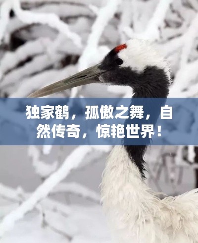 榮華富貴 第2頁