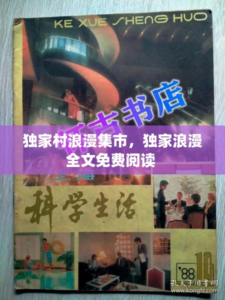 獨(dú)家村浪漫集市，獨(dú)家浪漫全文免費(fèi)閱讀 