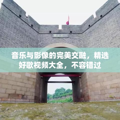 音樂與影像的完美交融，精選好歌視頻大全，不容錯過