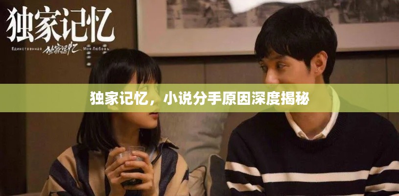 獨(dú)家記憶，小說(shuō)分手原因深度揭秘