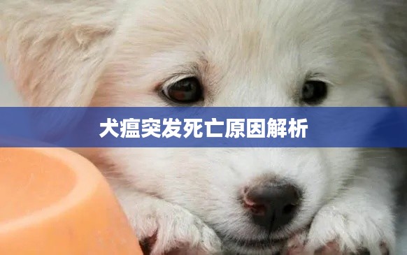 束手就禽 第2頁(yè)