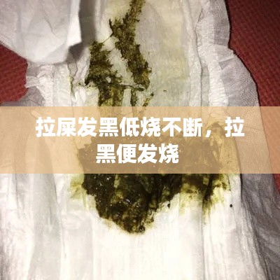 拉屎發(fā)黑低燒不斷，拉黑便發(fā)燒 