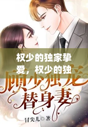 權(quán)少的獨(dú)家摯愛，權(quán)少的獨(dú)家寵愛免費(fèi)閱讀全文曲清歌 