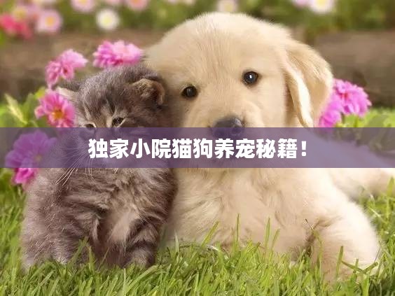 獨(dú)家小院貓狗養(yǎng)寵秘籍！