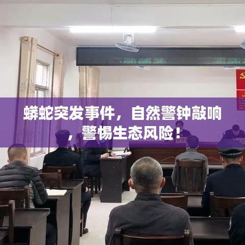 蟒蛇突發(fā)事件，自然警鐘敲響，警惕生態(tài)風(fēng)險(xiǎn)！