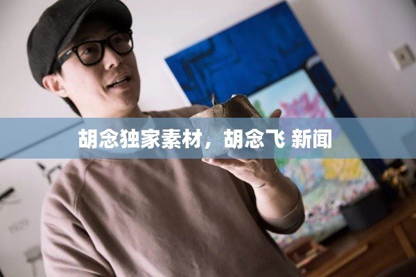 胡念獨(dú)家素材，胡念飛 新聞 