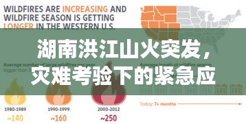 湖南洪江山火突發(fā)，災(zāi)難考驗下的緊急應(yīng)對與社會反思挑戰(zhàn)