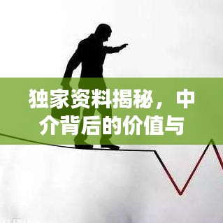 獨(dú)家資料揭秘，中介背后的價(jià)值與操作策略探討