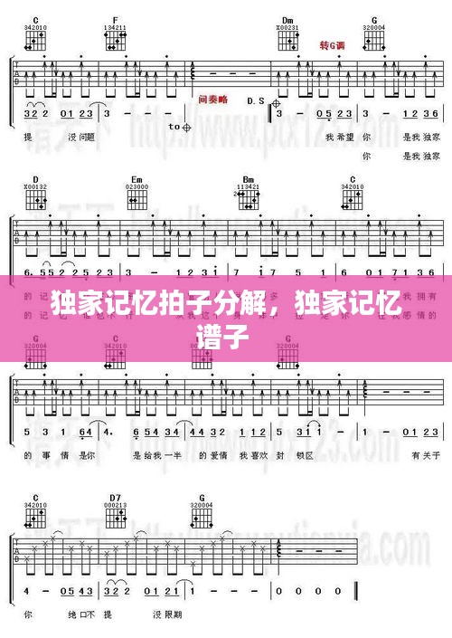 獨家記憶拍子分解，獨家記憶譜子 