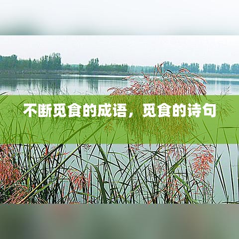 不斷覓食的成語，覓食的詩句 