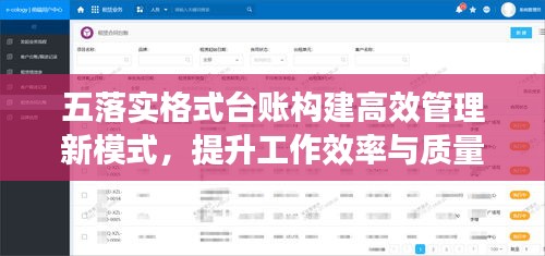 五落實(shí)格式臺(tái)賬構(gòu)建高效管理新模式，提升工作效率與質(zhì)量