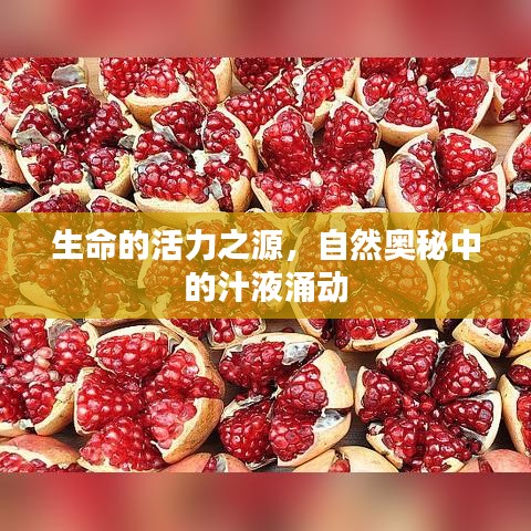 生命的活力之源，自然奧秘中的汁液涌動
