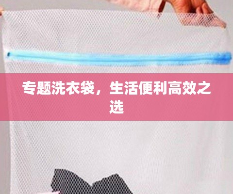 專題洗衣袋，生活便利高效之選