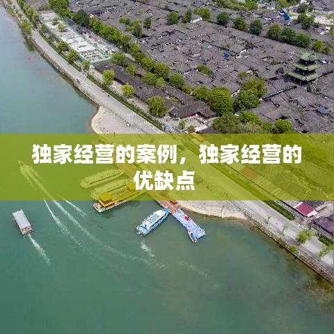 獨(dú)家經(jīng)營(yíng)的案例，獨(dú)家經(jīng)營(yíng)的優(yōu)缺點(diǎn) 