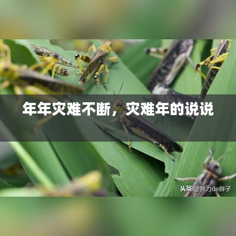 年年災(zāi)難不斷，災(zāi)難年的說(shuō)說(shuō) 
