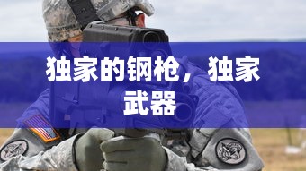 獨家的鋼槍，獨家武器 
