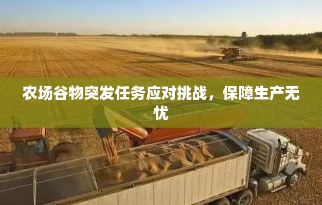 農(nóng)場谷物突發(fā)任務(wù)應(yīng)對挑戰(zhàn)，保障生產(chǎn)無憂