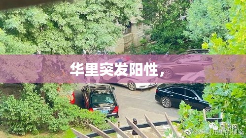 夫妻本是同 第2頁