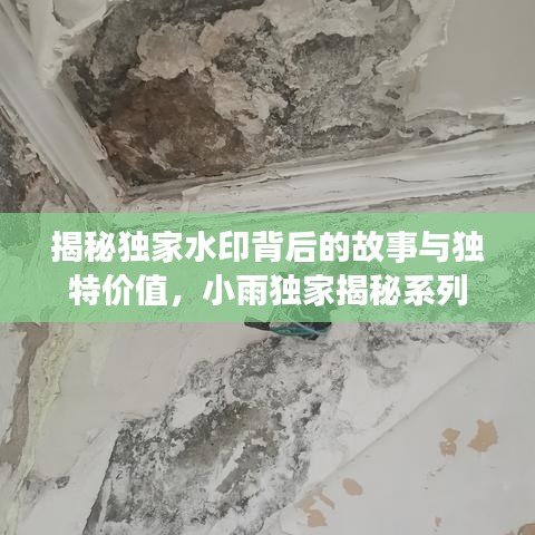 揭秘獨家水印背后的故事與獨特價值，小雨獨家揭秘系列