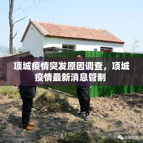 項(xiàng)城疫情突發(fā)原因調(diào)查，項(xiàng)城疫情最新消息管制 
