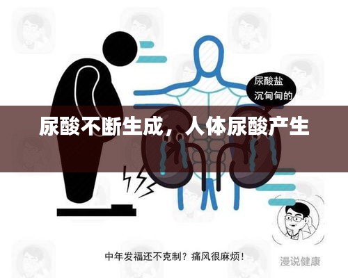 尿酸不斷生成，人體尿酸產(chǎn)生 