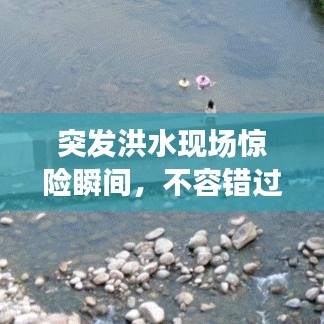 突發(fā)洪水現(xiàn)場驚險瞬間，不容錯過！