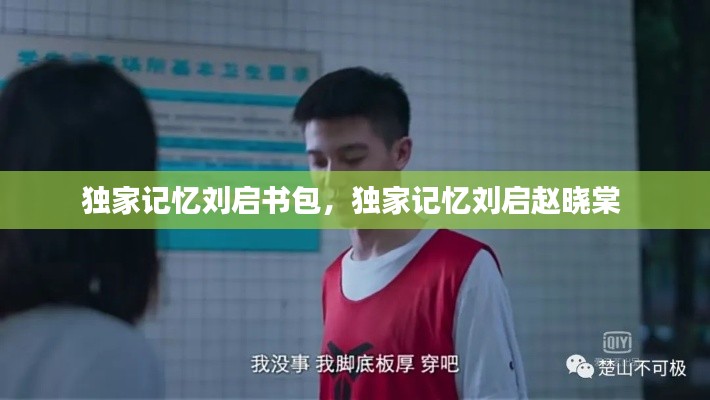 獨(dú)家記憶劉啟書包，獨(dú)家記憶劉啟趙曉棠 