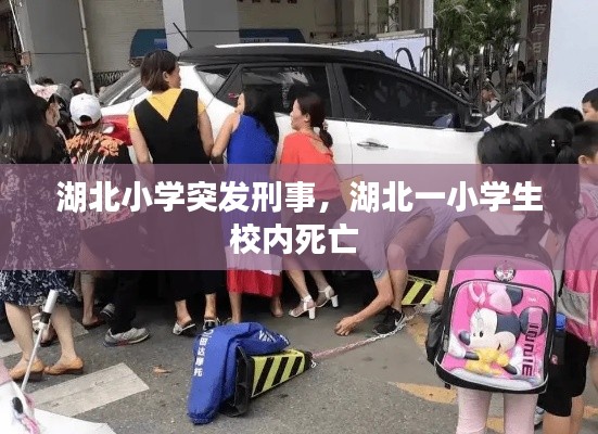 湖北小學(xué)突發(fā)刑事，湖北一小學(xué)生校內(nèi)死亡 