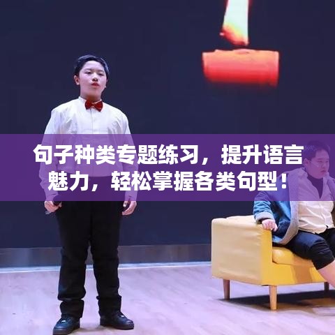 句子種類專題練習(xí)，提升語言魅力，輕松掌握各類句型！