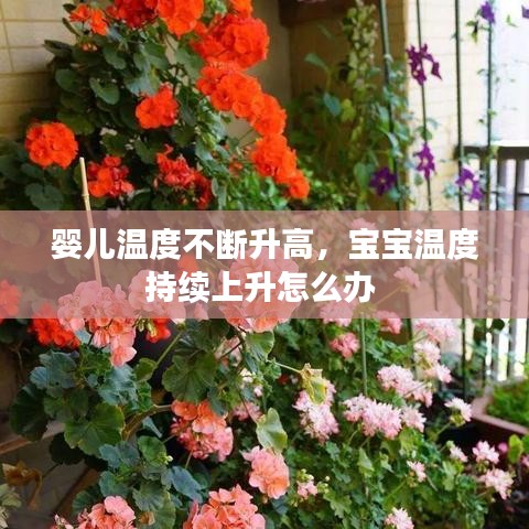 嬰兒溫度不斷升高，寶寶溫度持續(xù)上升怎么辦 
