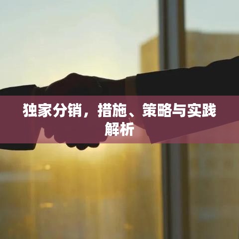獨(dú)家分銷，措施、策略與實(shí)踐解析