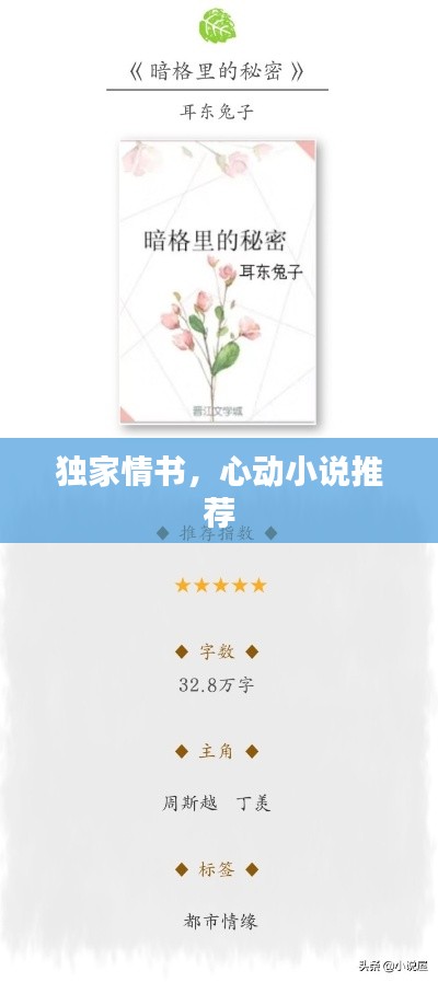 獨(dú)家情書，心動小說推薦
