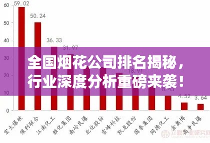 全國煙花公司排名揭秘，行業(yè)深度分析重磅來襲！