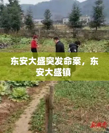 東安大盛突發(fā)命案，東安大盛鎮(zhèn) 