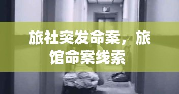 旅社突發(fā)命案，旅館命案線索 