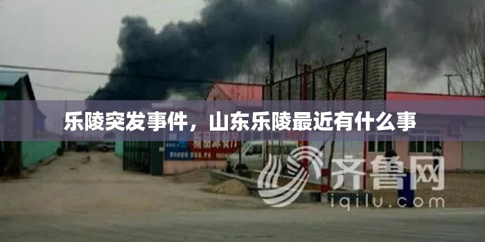 樂(lè)陵突發(fā)事件，山東樂(lè)陵最近有什么事 