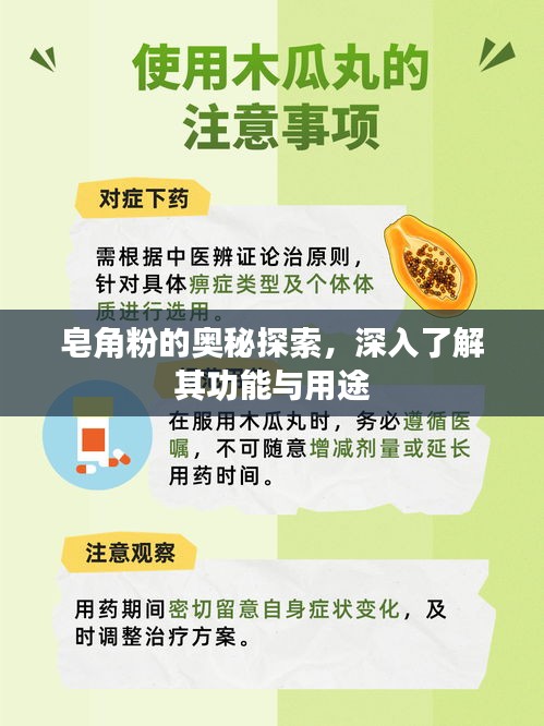 皂角粉的奧秘探索，深入了解其功能與用途