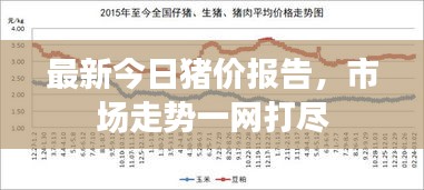 最新今日豬價(jià)報(bào)告，市場(chǎng)走勢(shì)一網(wǎng)打盡