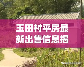 玉田村平房最新出售信息揭秘，優(yōu)質(zhì)房源一覽