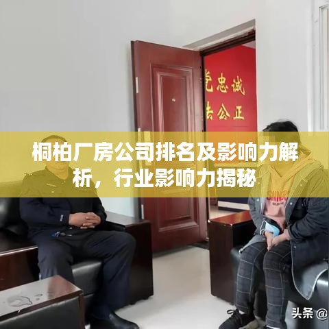 桐柏廠房公司排名及影響力解析，行業(yè)影響力揭秘