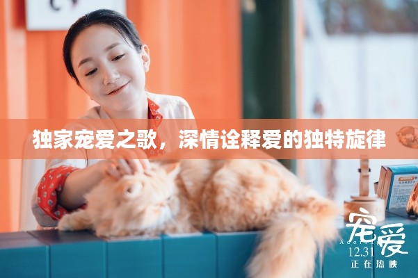 獨(dú)家寵愛之歌，深情詮釋愛的獨(dú)特旋律