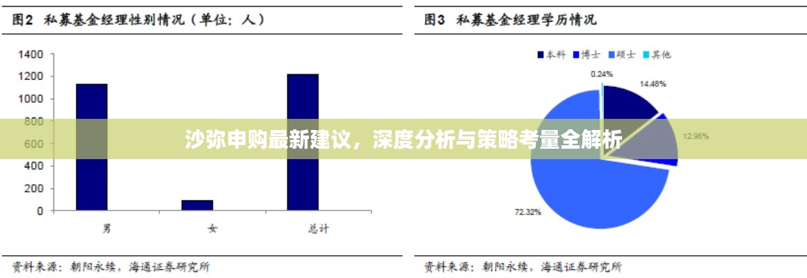 沙彌申購最新建議，深度分析與策略考量全解析
