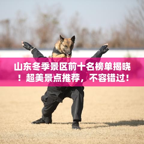 山東冬季景區(qū)前十名榜單揭曉！超美景點推薦，不容錯過！